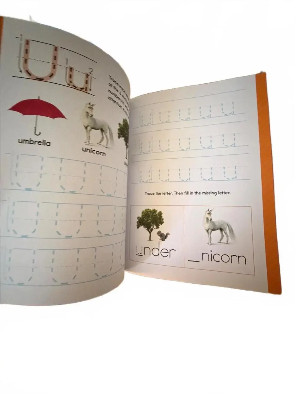 My First Learn-to-Write Workbook by Crystal Radke for Ages 3+